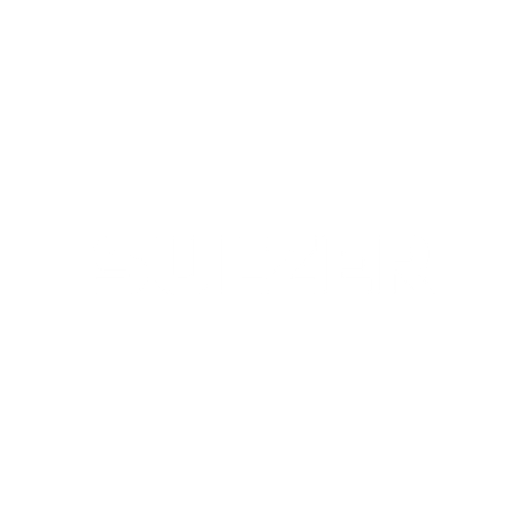 Sulzer